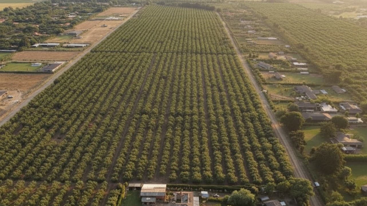 Vista aérea del condominio de parcelas de 5.000 m² en Talagante
